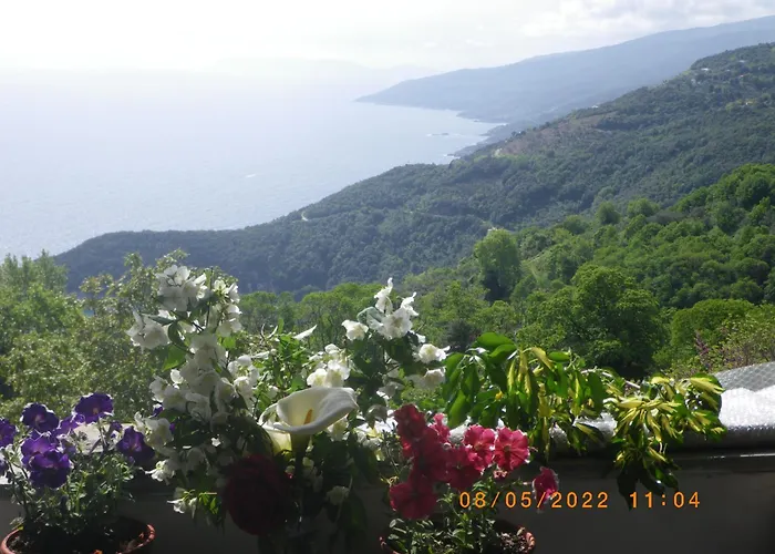 Georgie Apartamento *