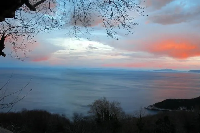 Georgie * Tsagkarada