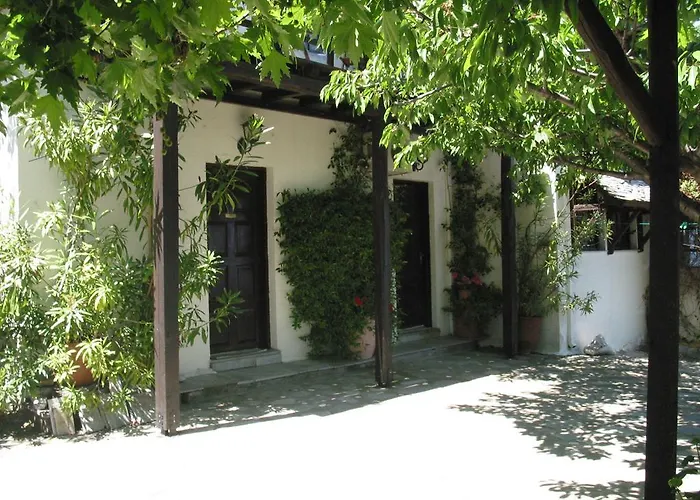 Georgie * Tsagkarada