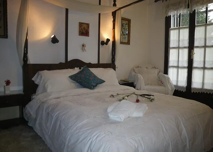 Georgie * Tsagkarada